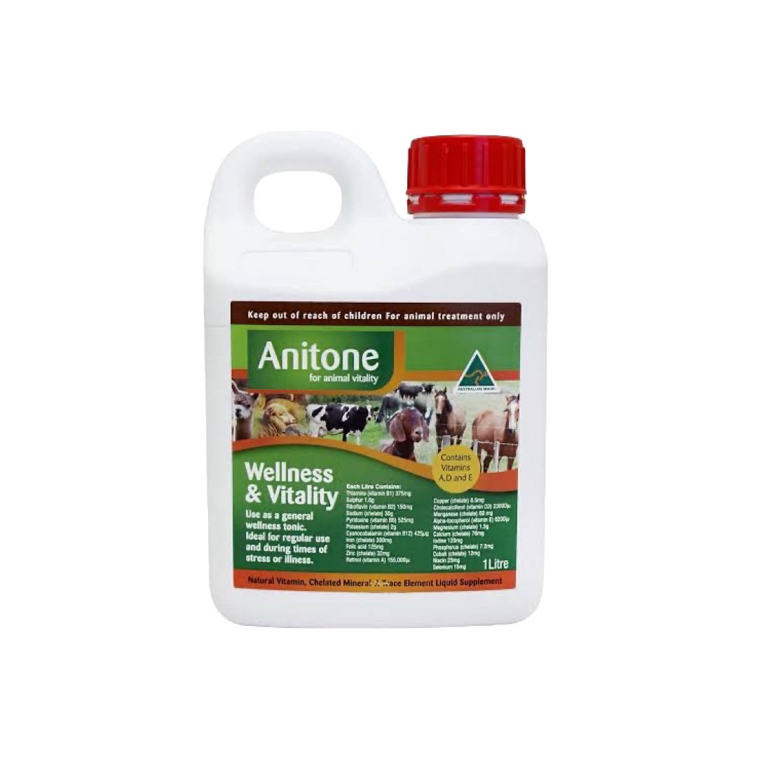 Anitone Wellness & Vitality Liquid Supplement