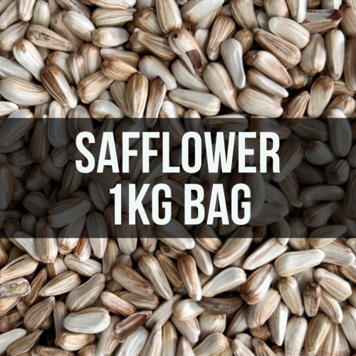 Avigrain Safflower Seed