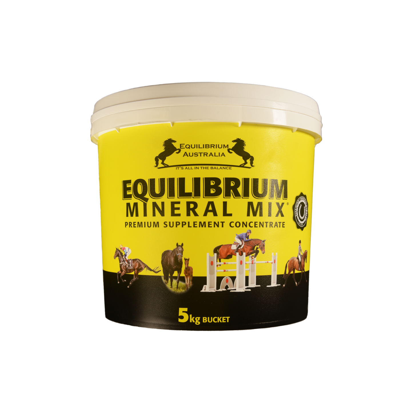 Equilibrium Mineral Mix