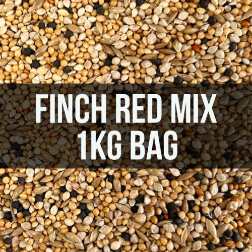 Avigrain Finch Red Seed Mix