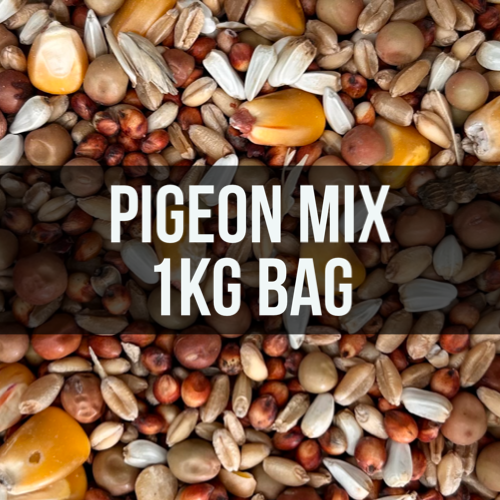 Avigrain Pigeon Seed Mix