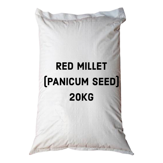 Avigrain Panicum (Red Millet)