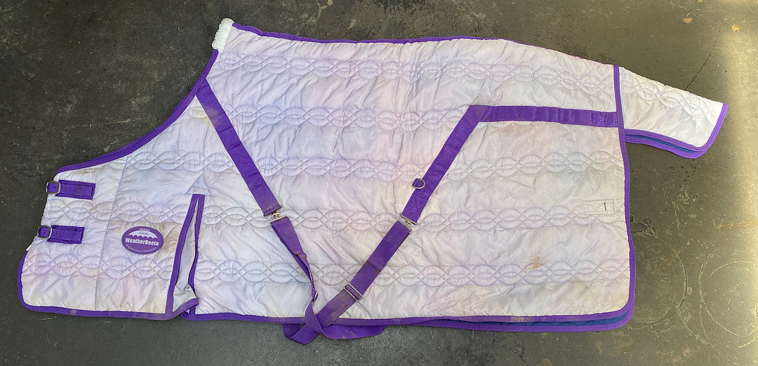 SH Weatherbeeta Stable Rug 6'0 Purple (241656)