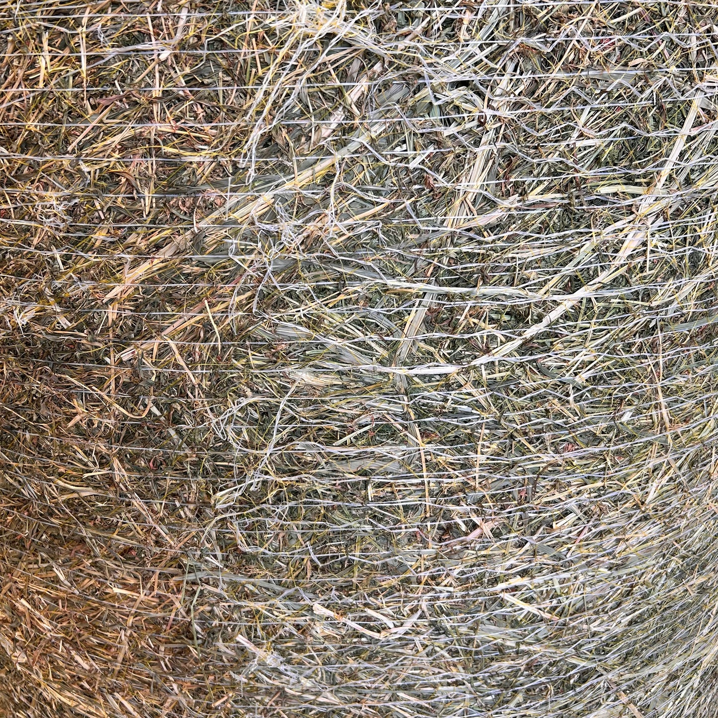 Lucerne/Grassy Round Bales