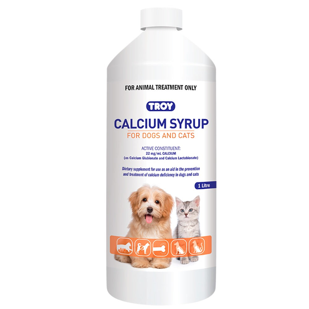Troy Calcium Syrup