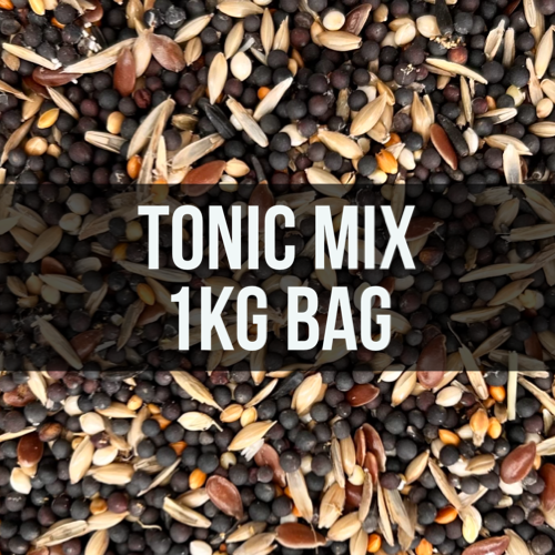 Avigrain Tonic Seed Mix