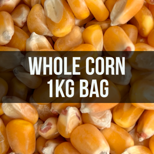 Avigrain Whole Corn