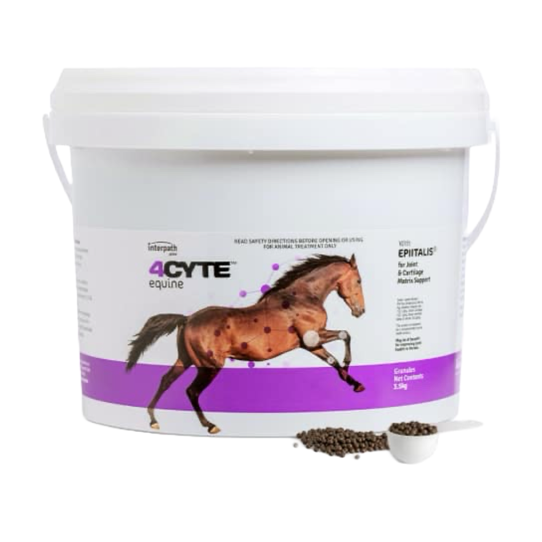4CYTE Equine Granules