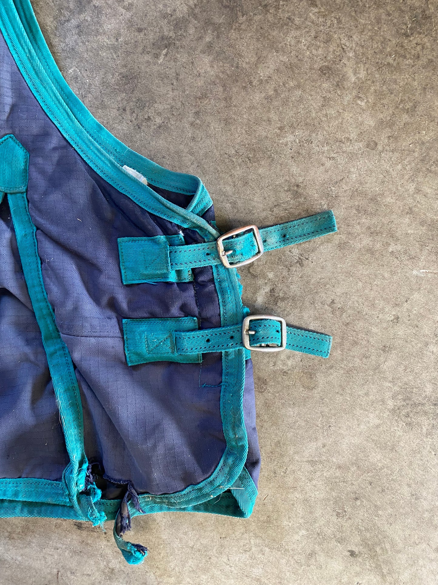 SH Supreme Horseware Paddock Turnout 4'9 (250122)