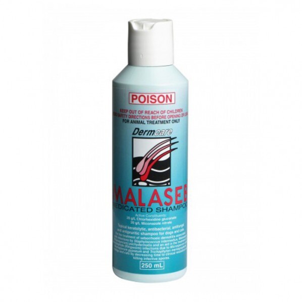 Dermcare Malaseb Medicated Shampoo