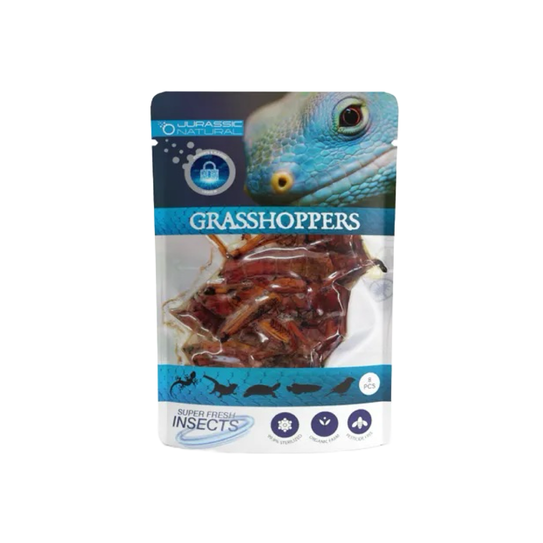 Pisces Superfresh Insects