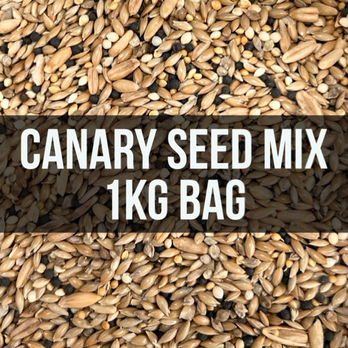 Avigrain Canary Seed Mix