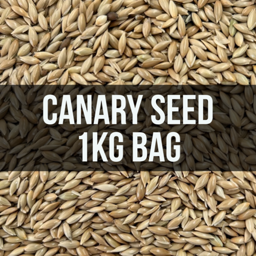 Avigrain Canary Seed