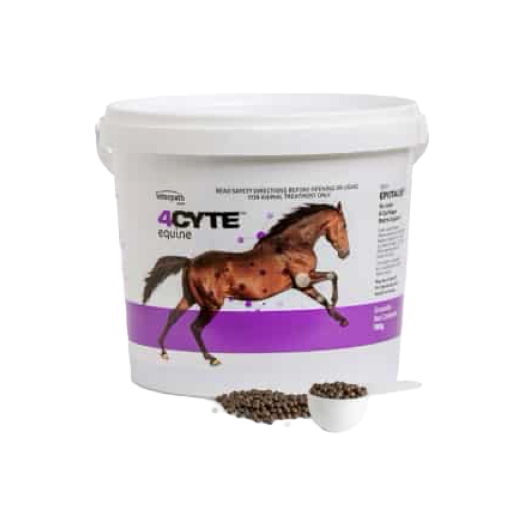 4CYTE Equine Granules
