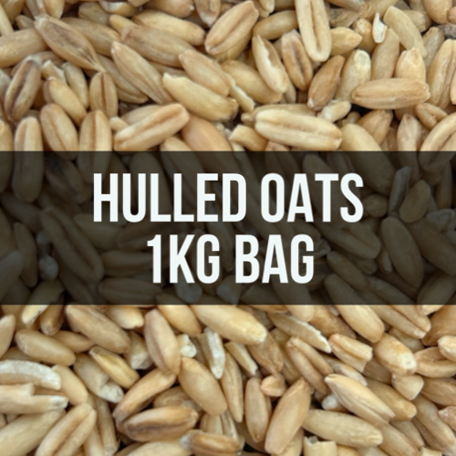 Avigrain Hulled (Husk Removed) Oats
