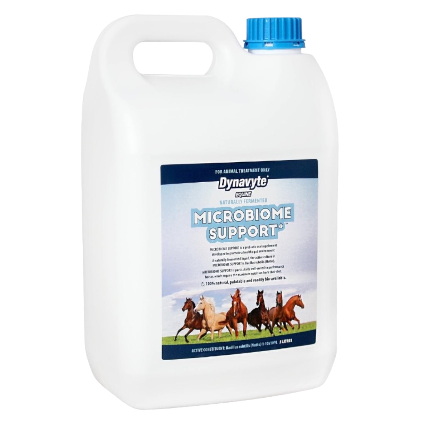Dynavyte Equine Microbiome Support