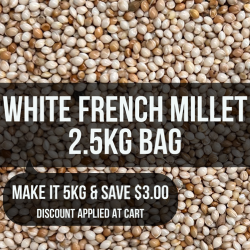 Avigrain White French Millet