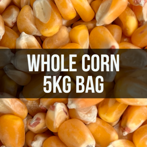 Avigrain Whole Corn