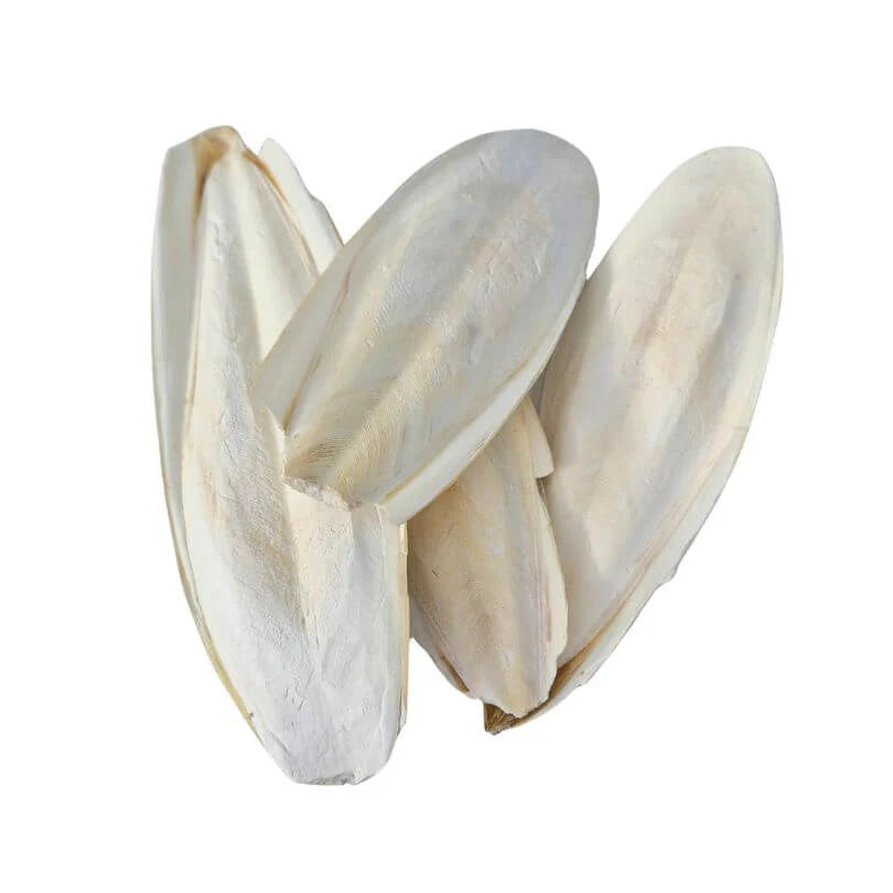 Breeders Delight Cuttlebone