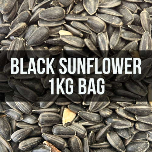 Wild Acres Black Sunflower Seeds
