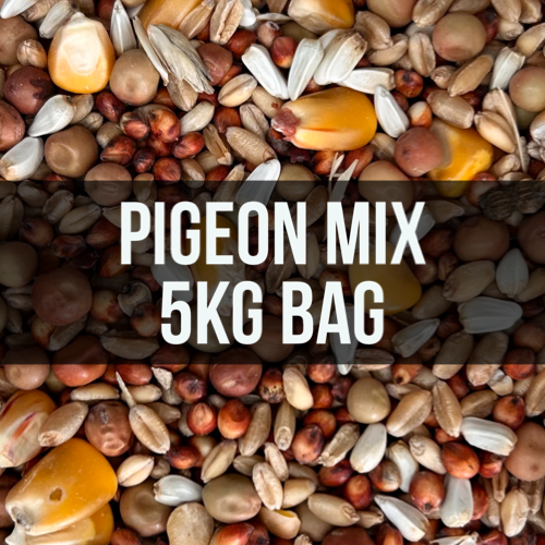 Avigrain Pigeon Seed Mix