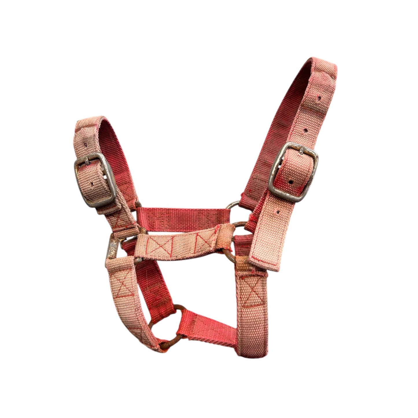 SH Halter PONY Red (244306)