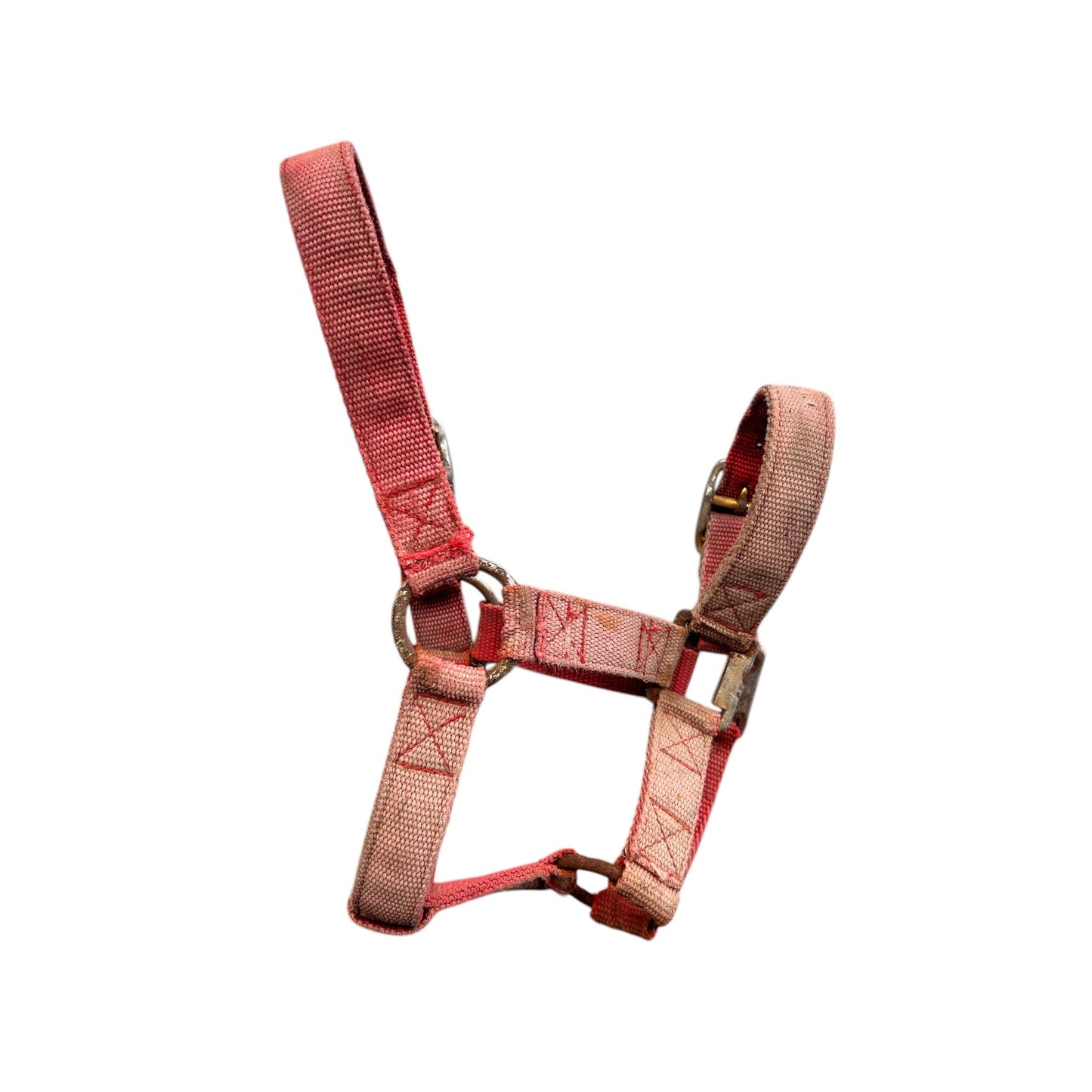 SH Halter PONY Red (244306)