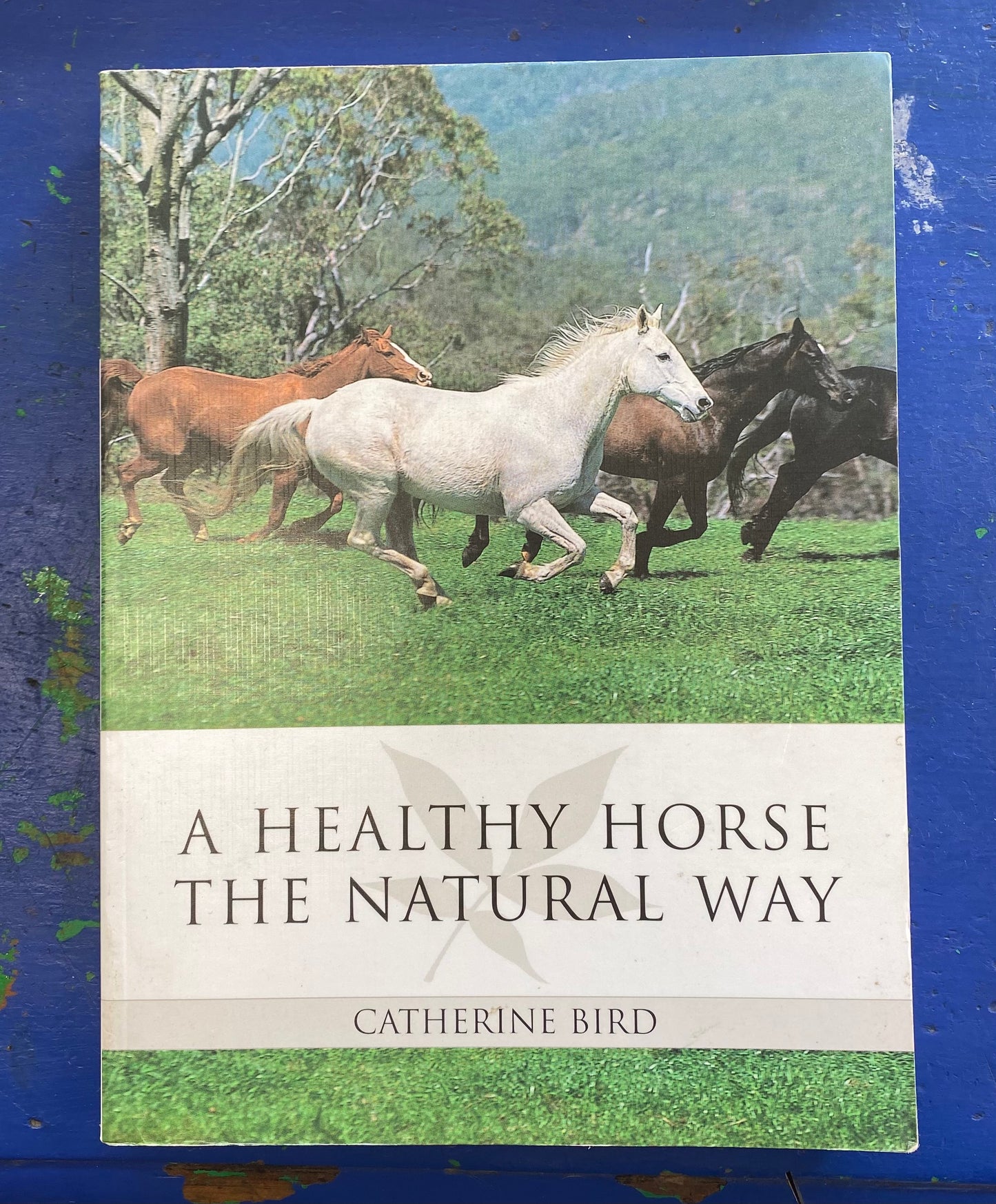 Book - A Healthy Horse The Natural Way (2315921)