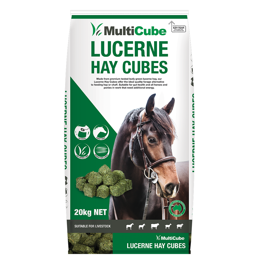 Multicube Lucerne Hay Cubes 20kg