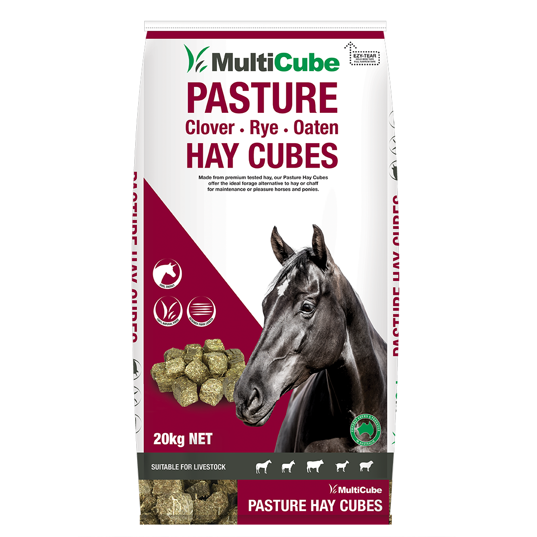 Multicube Pasture Hay Cubes 20kg