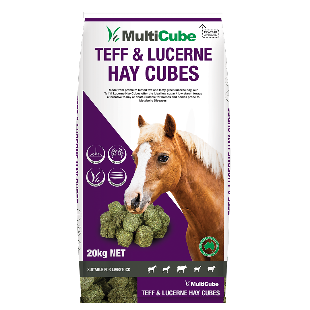 Multicube Lucerne & Teff Hay Cubes 20kg