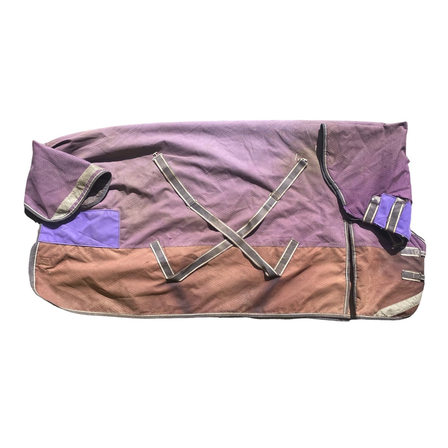 Weatherbeeta Turnout 6'6 Purple (238037)