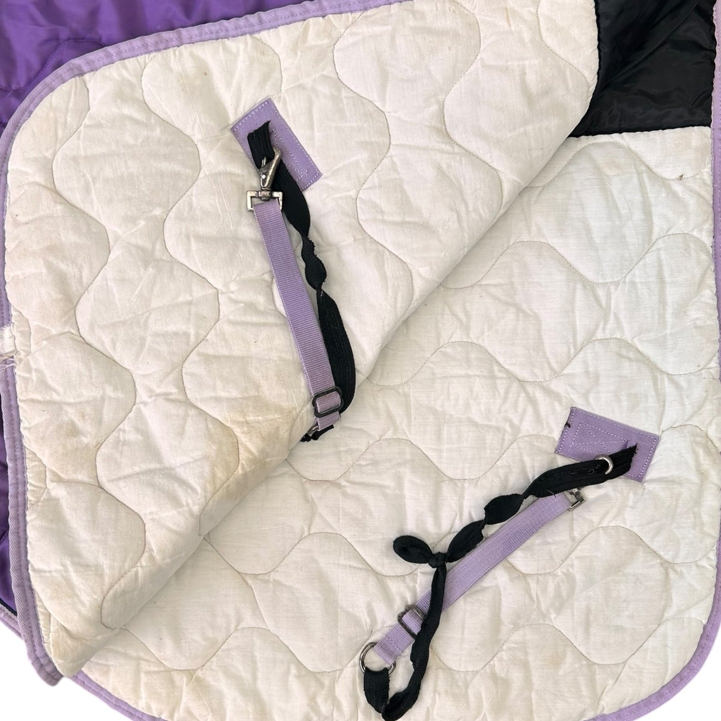 SH Weatherbeeta Stable Set 6'0 Purple (240668)