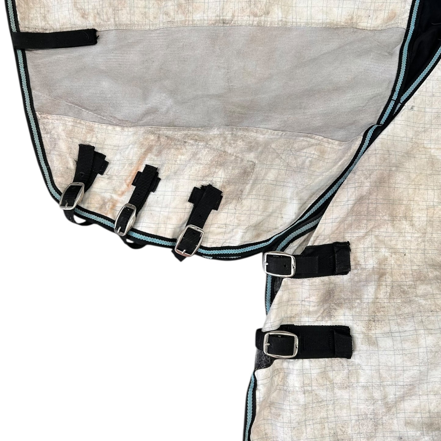 SH Wildhorse Cotton Combo 5'3 Check (2402288)