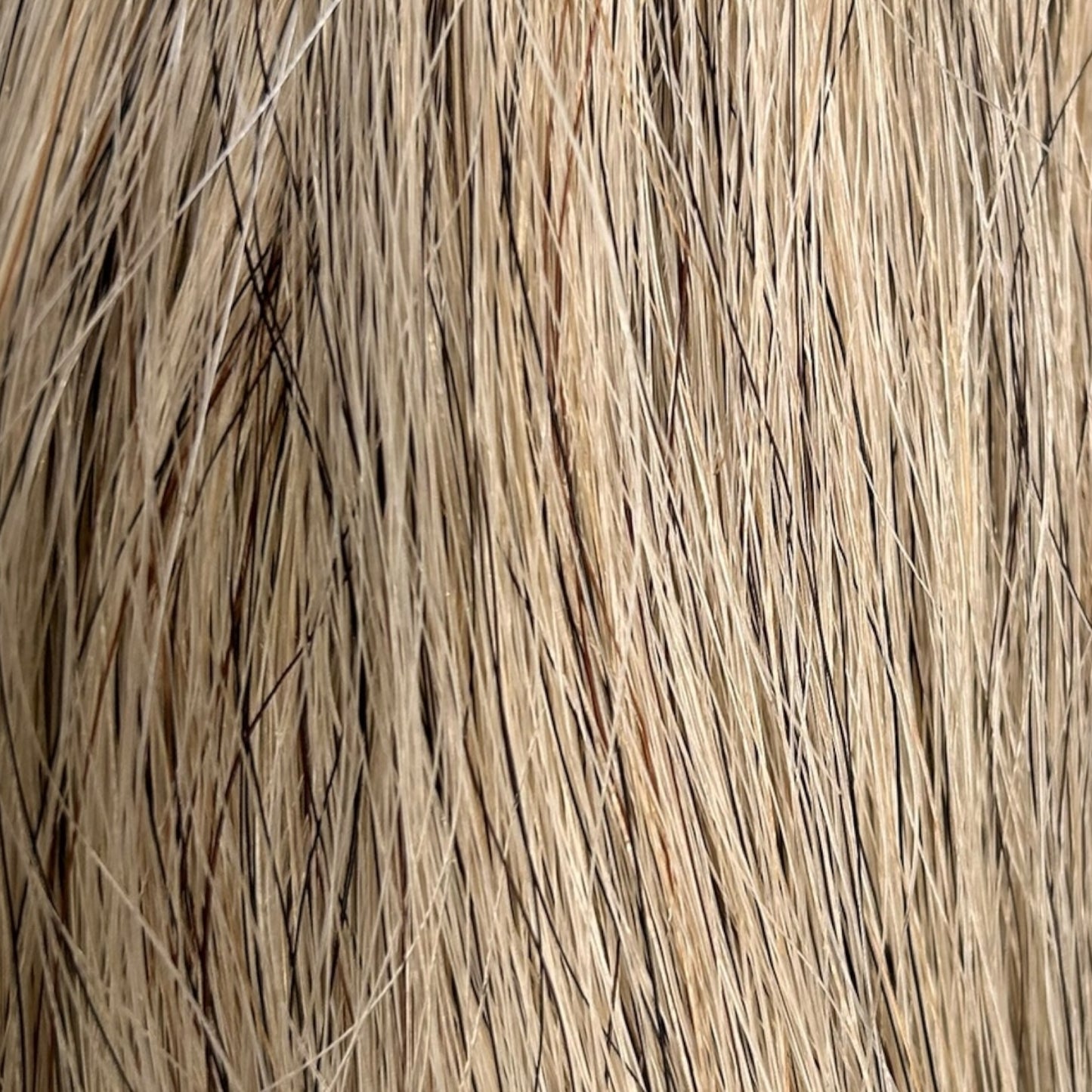 SH Single False Tail 64cm/25" Grey (242723)