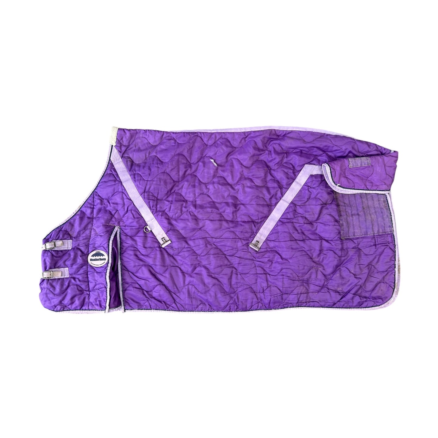 SH Weatherbeeta Stable Set 6'0 Purple (240668)