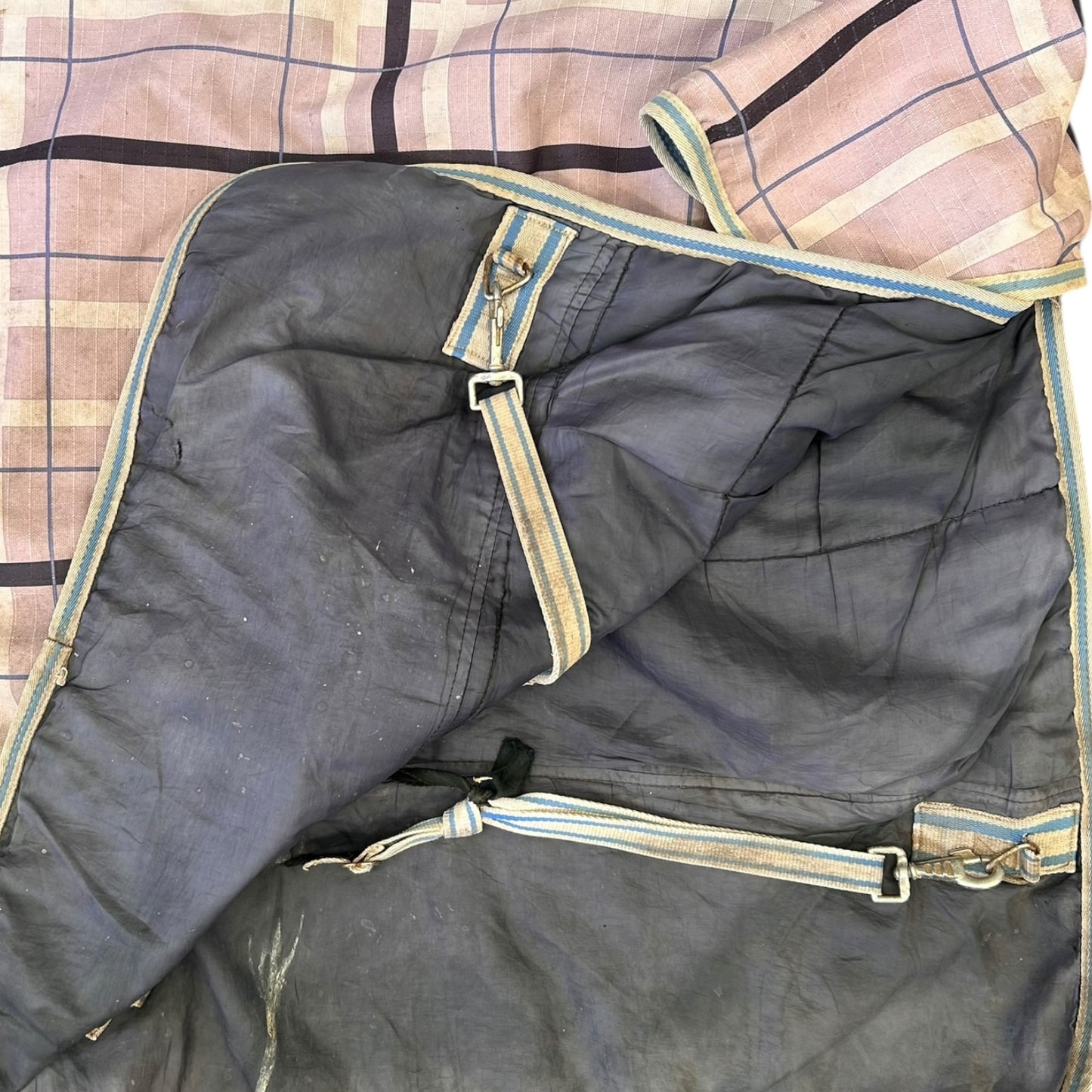 SH Horze Stable Combo 5'9 Purple (2402275)