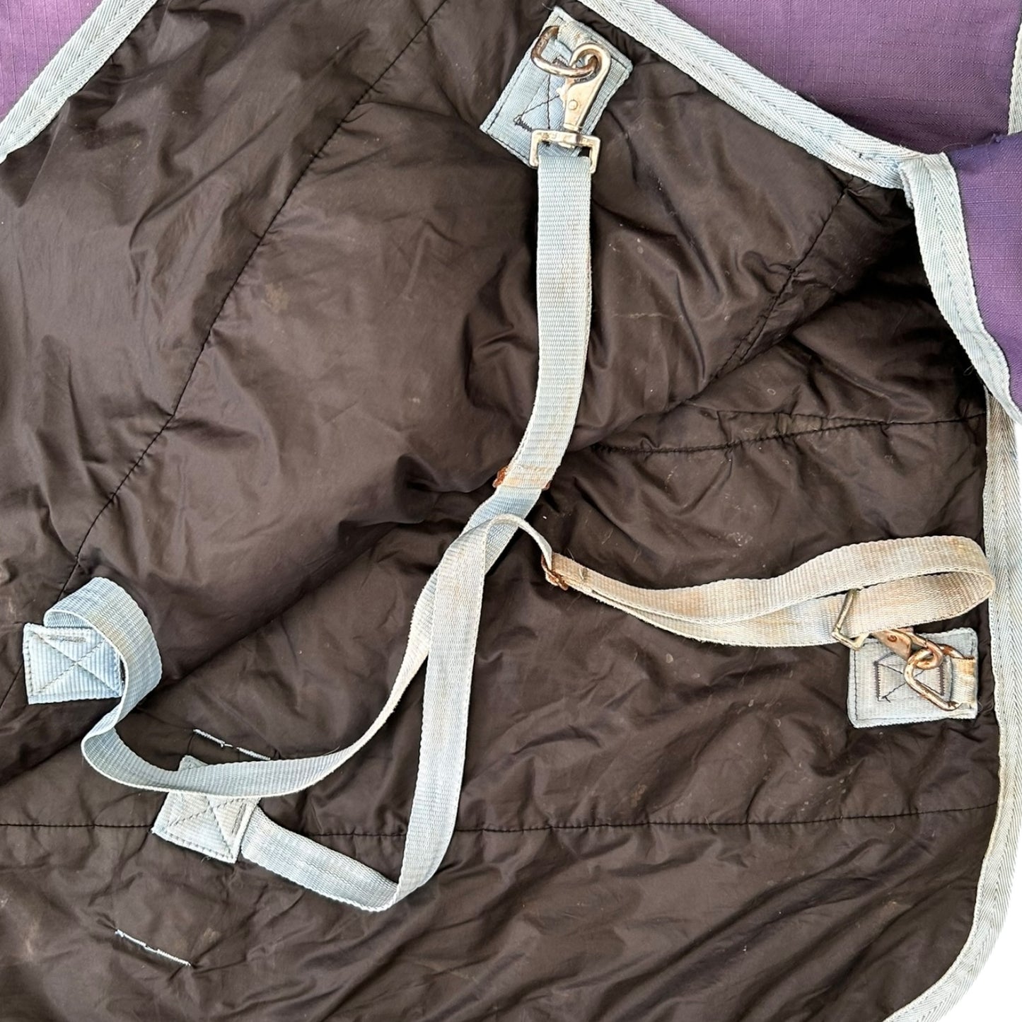 SH Saxon Turnout Combo 4'3 Blue (2403186)