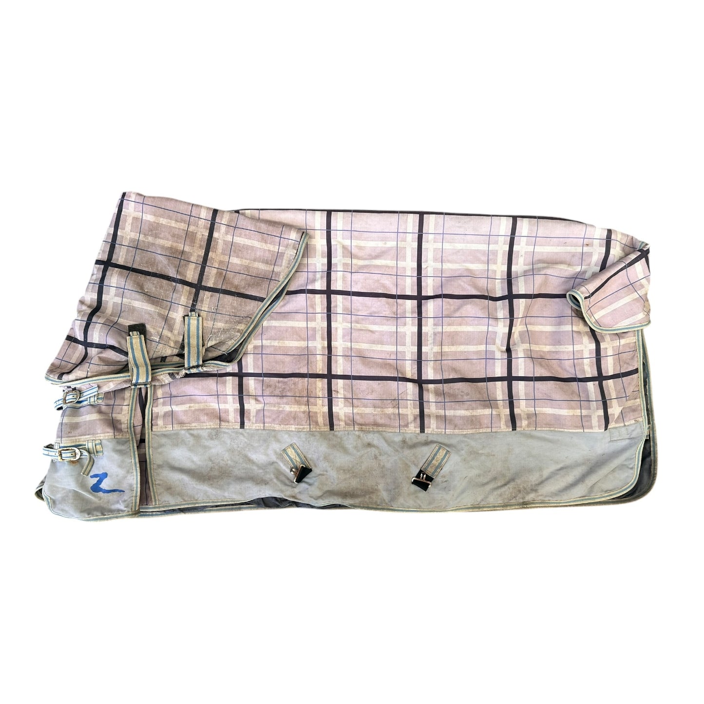 SH Horze Stable Combo 5'9 Purple (2402275)