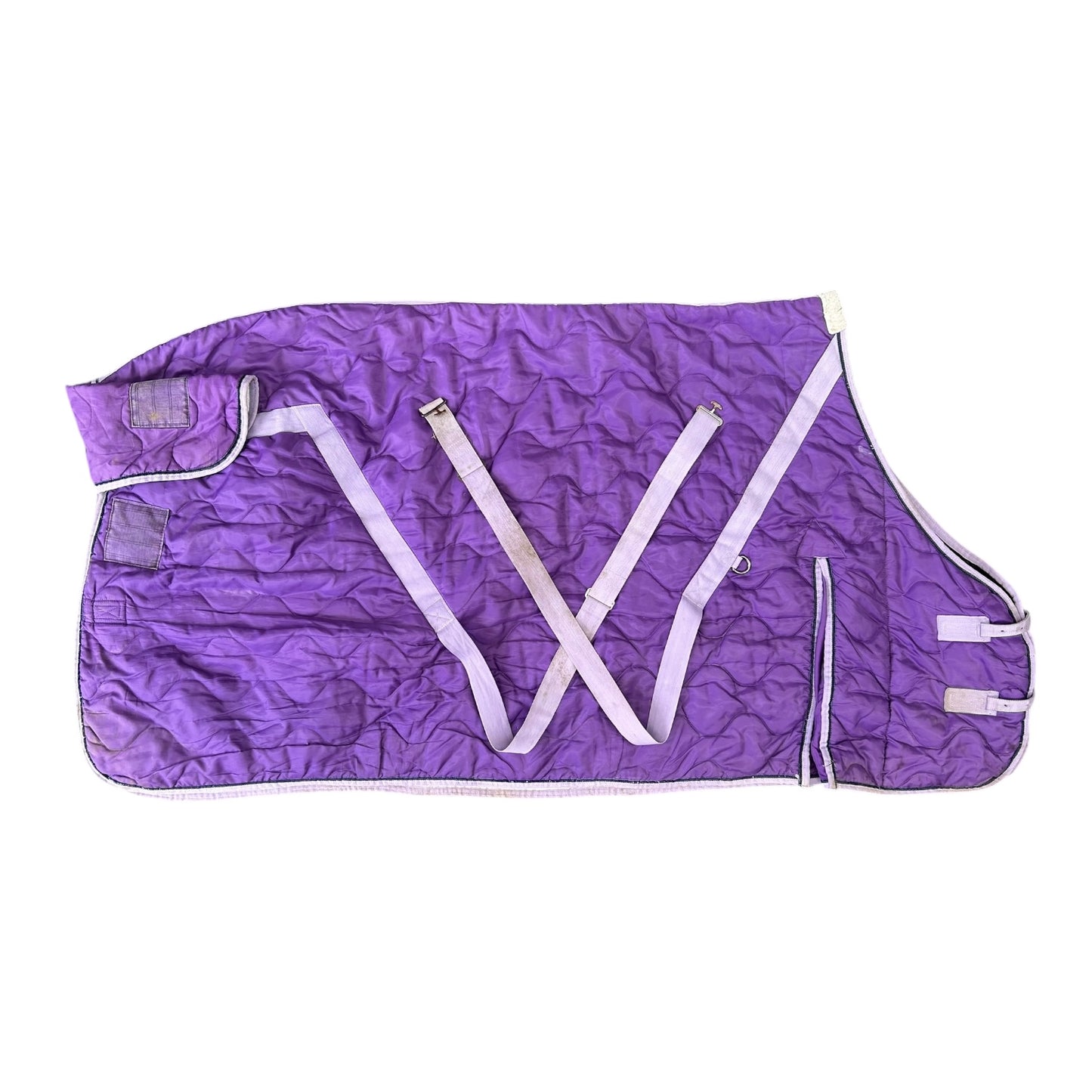 SH Weatherbeeta Stable Set 6'0 Purple (240668)