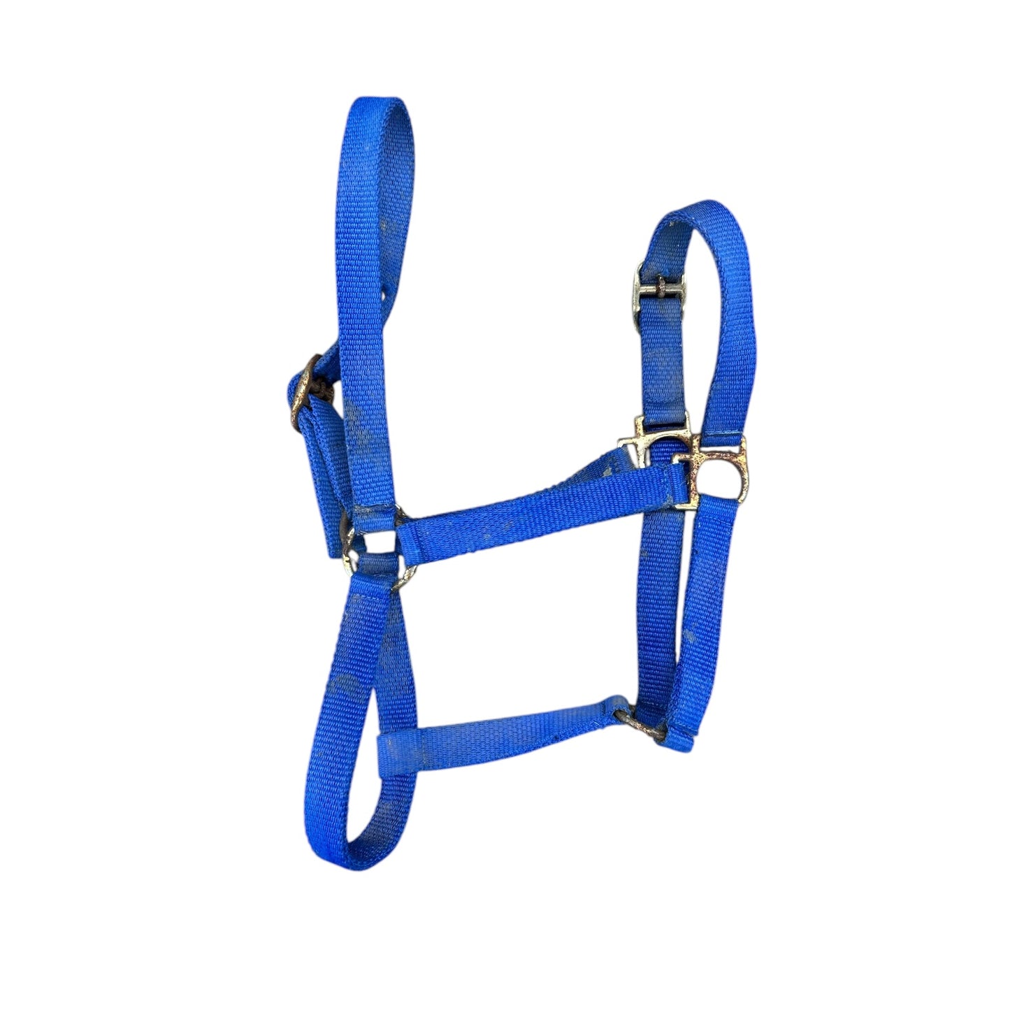 SH Halter FULL Blue (242326)