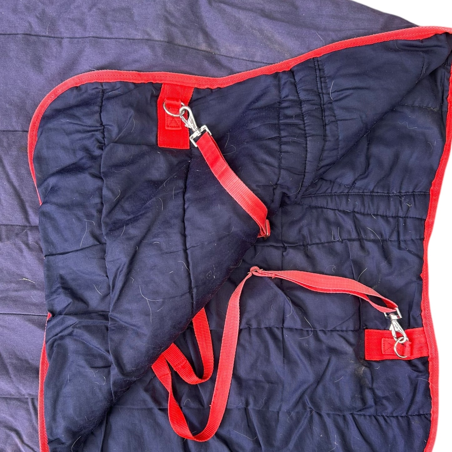 SH Bellevale Stable Combo 5'0 Navy (246640)