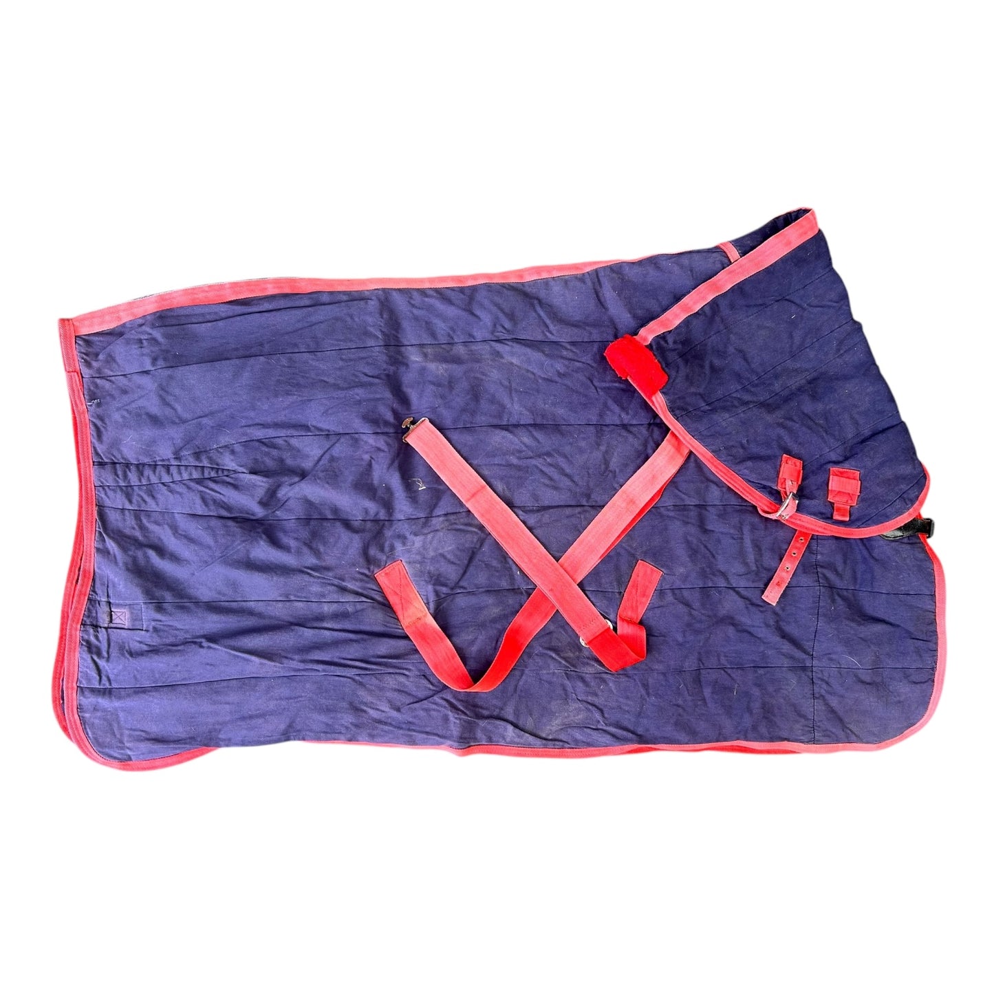 SH Bellevale Stable Combo 5'0 Navy (246640)