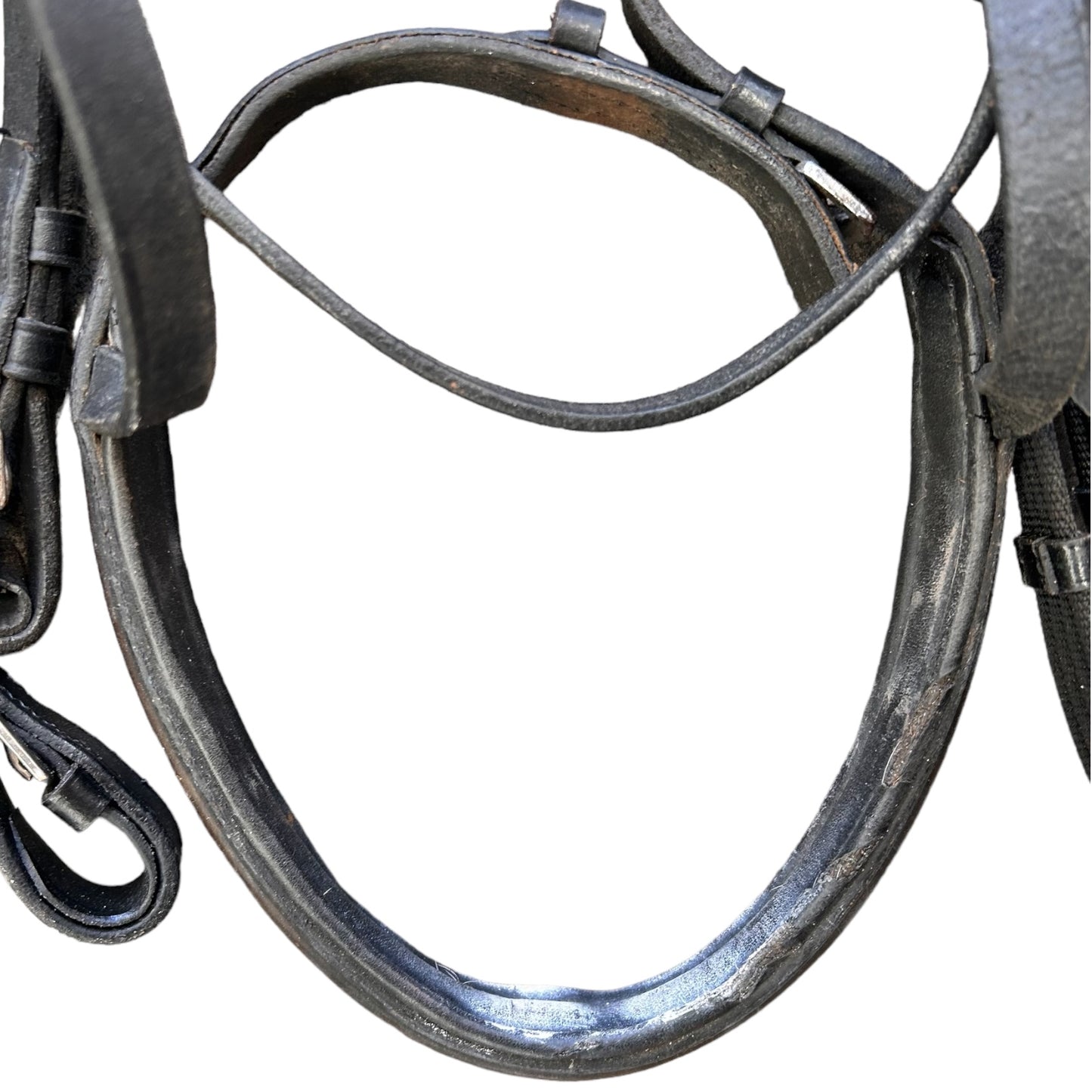 SH Bridle FULL Black (244615)