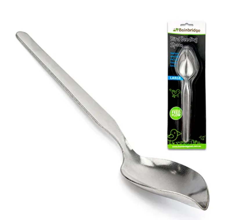 Bainbridge Bird Feeding Spoon