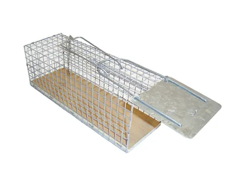 Bainbridge Rodent Cage Traps
