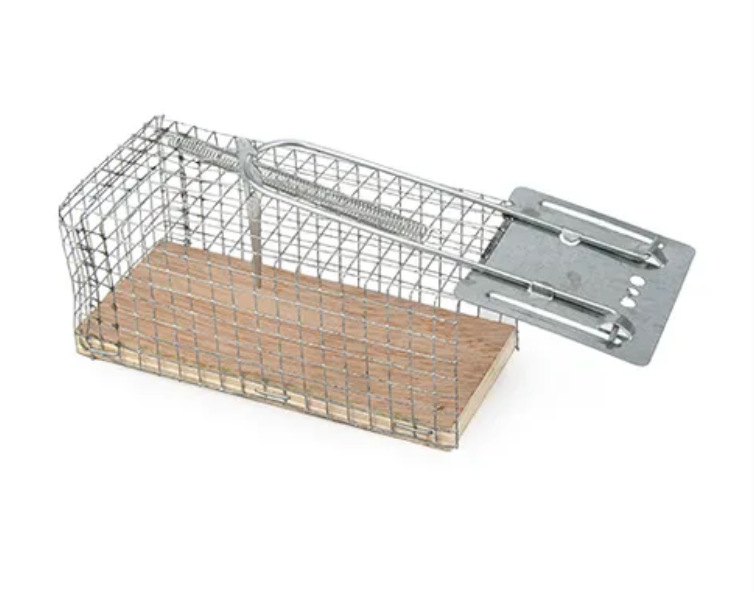 Bainbridge Rodent Cage Traps