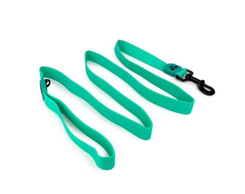 Bainbridge Waterproof Dog Leash