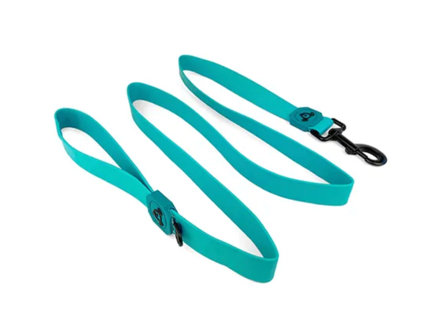 Bainbridge Waterproof Dog Leash