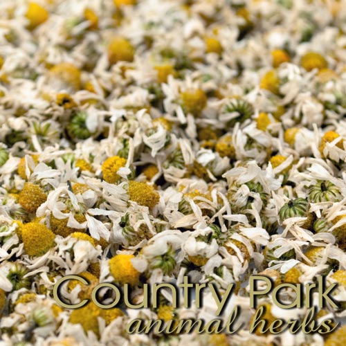 Country Park Herbs Chamomile Flowers 1kg